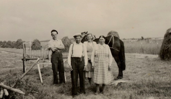 Här ser vi Karl Korsbäck, Otto Björklund, Alice Dahlroos och Amanda Björklund i höbärgningstagen i Palon. 