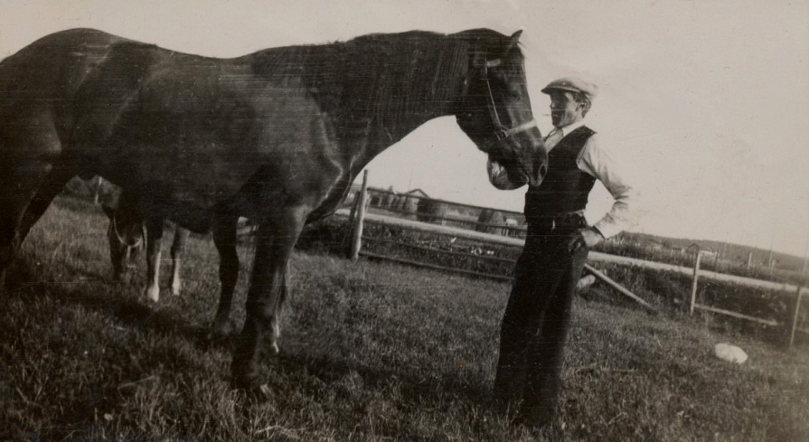 Här Otto Björklund med sin stolthet Odin, som han hade köpt från Kristinestad. Odin var snäll och foglig, helt olik hästen Pärla som syns bakom Odin.