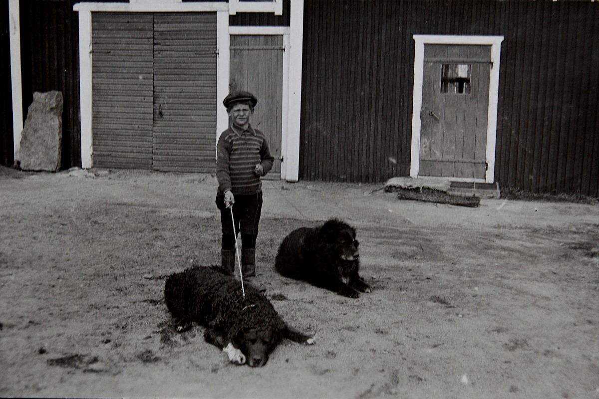 Den unga pojken på bilden är ”Bagar-Arne”, alltså Annas son med de båda hundarna. 