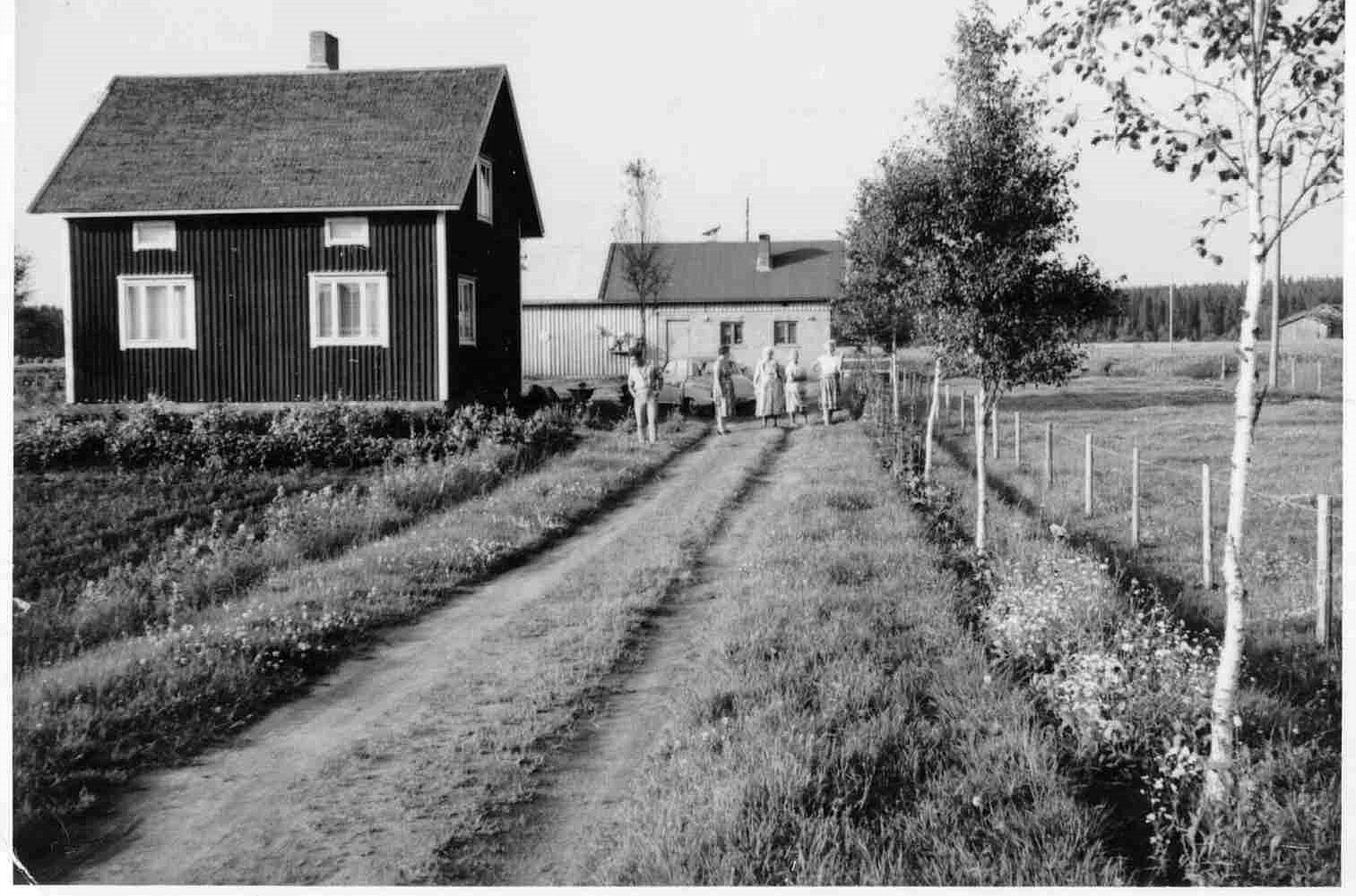 Här Alice och Eskil Norrgårds hus på Dagsmarkvägen 228.