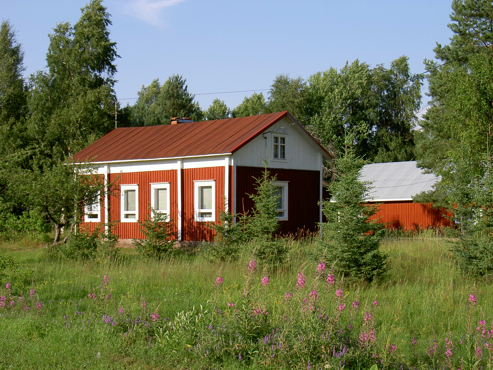 Här Löfgrens gård fotograferad från söder 2003.