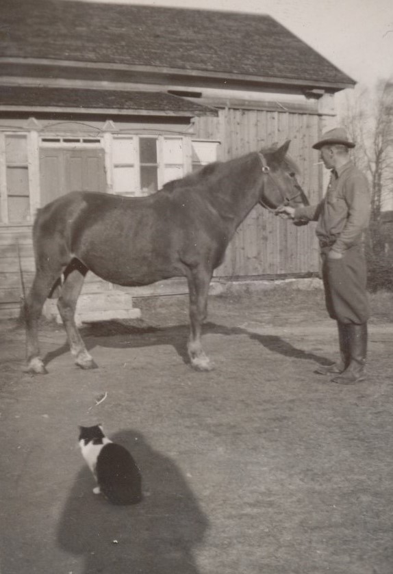 Här sitter katten och tittar på Evert Storkull och hans häst.
