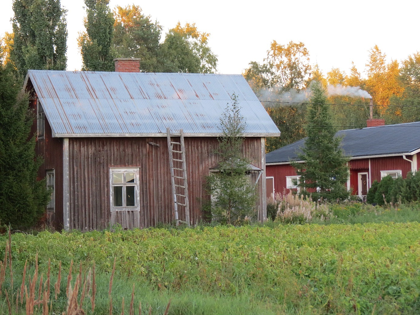 År 2013 såg Nybergas lillstuga ut så här. Markerna och denna lillstuga såldes på 2000-talet åt nuvarande ägaren som bor i Lappfjärd. Fotot från väster. 