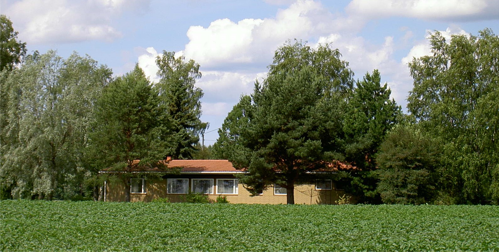 Den nya gården som byggdes 1969 ligger som sig bör inbäddad i grönska, omgärdad av potatisodlingar. Foto från sydost år 2004.