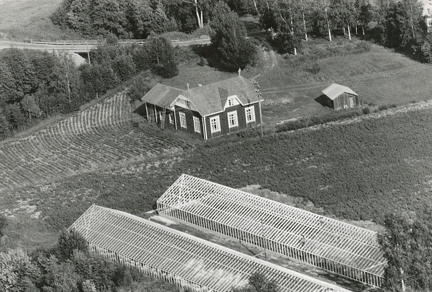 Flygfoto från sommaren 1971. Backlund Ragnars växthus till höger är under byggnad och man kan se Kurt och John på taket i färd med att sätta glasrutorna på plats.