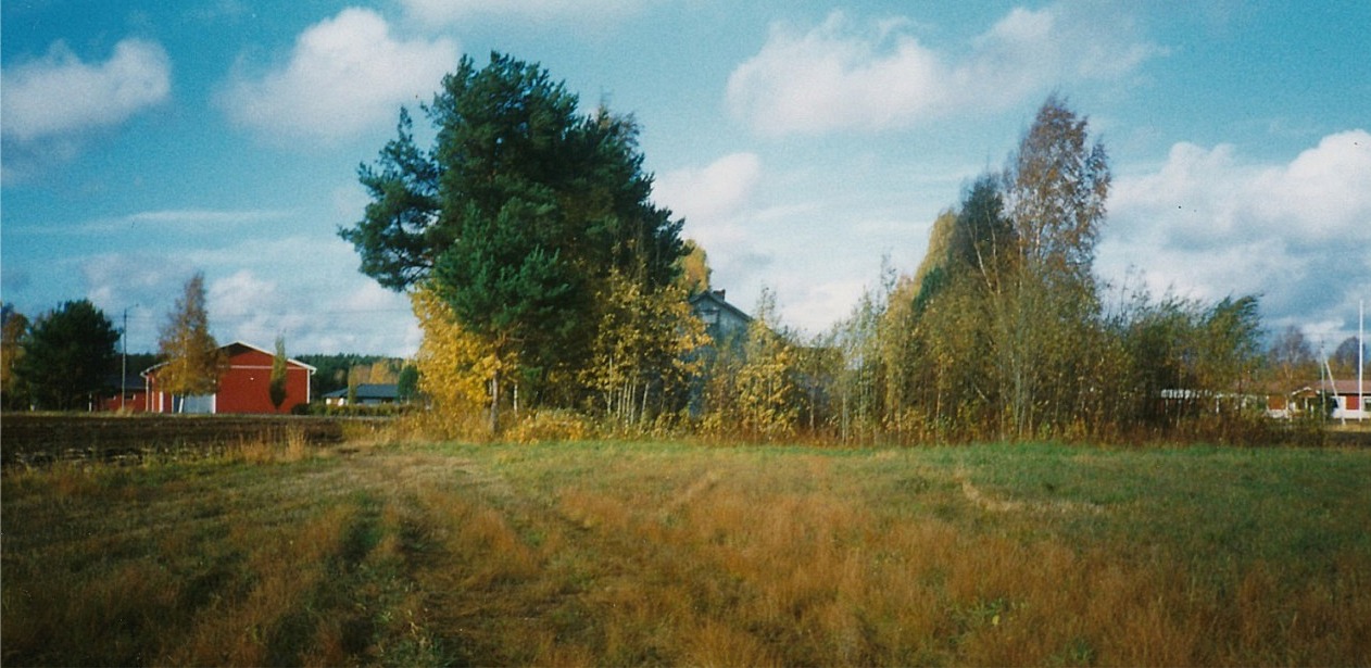 När huset revs var tomten så igenväxt att bara en del av den södra gaveln syns. Till vänster syns det som i dag är Lindbergs potatislager och längst till höger syns den gård där Ragnar och Jenny Backlunds bodde i tiderna. Foto: John Backlund. 