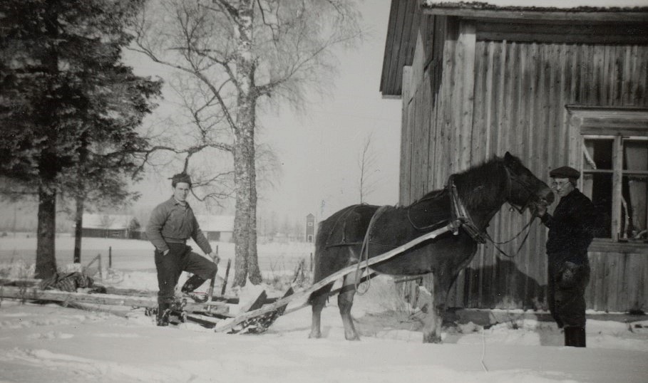 Arvid Lillkull var svår att fånga på foton men ser vi där står och håller i hästen Pontus där Ulla. Till vänster står Ruben Ånäs och mitt i bild bakom hästen skymtar Nylundas transformatorn.