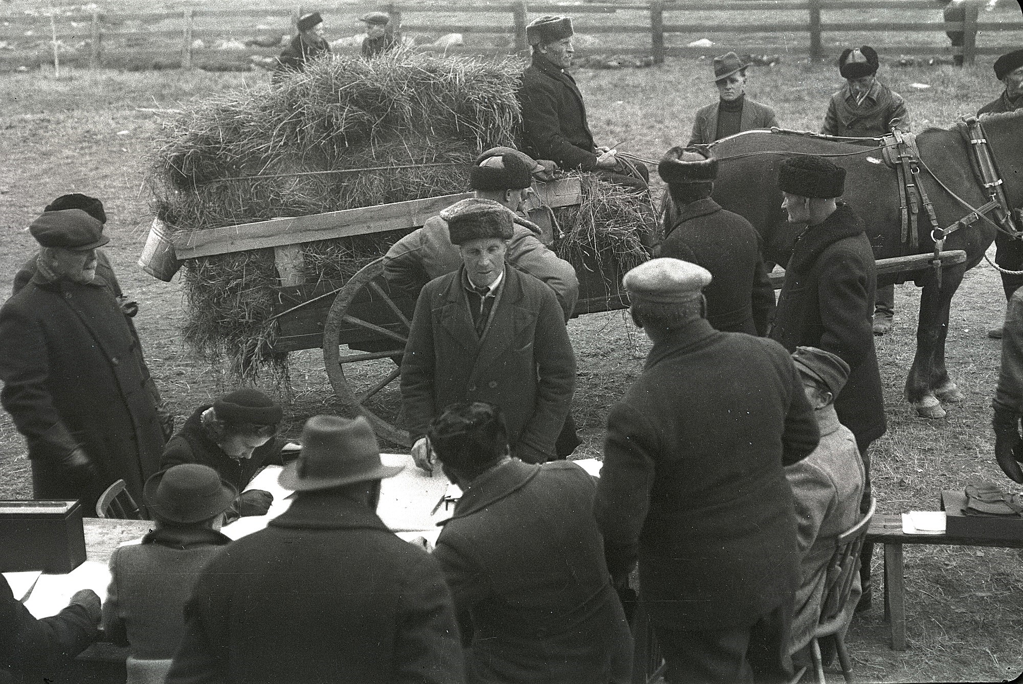 Vi kan bara ana vad den bistra mannen på hästkärran tänker på. Hästen är tillsvidare lyckligt omedveten om vad som väntar. Selim Björses foto från 1939 finns arkiverat på SLS:s traditionsarkiv i Vasa.