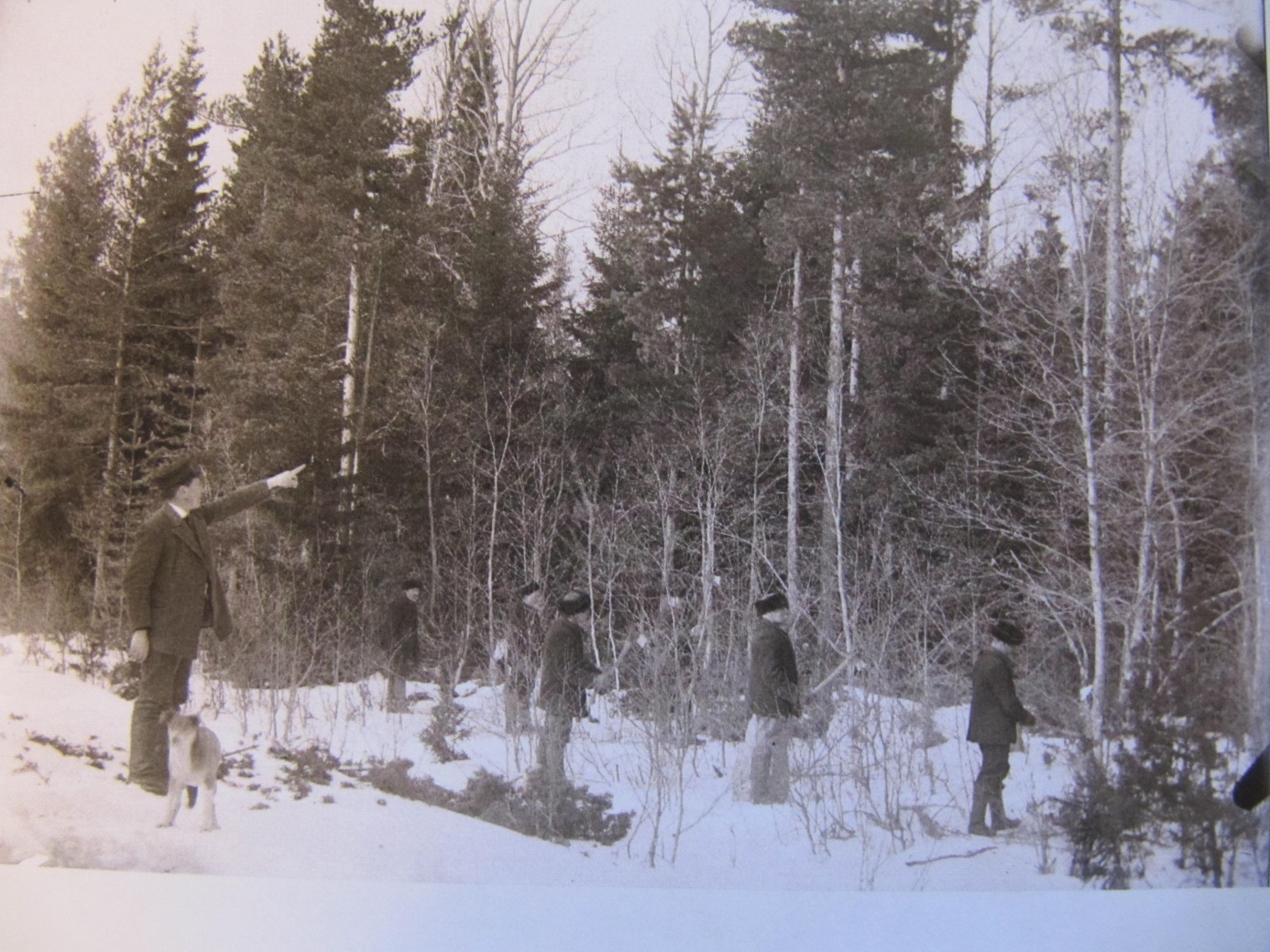 Skogsinstruktören Wikman visar kursdeltagarna hur gallringar skall göras. Det var ju denne Wikman som värderade skogarna, som skulle skiftas i storskiftet.