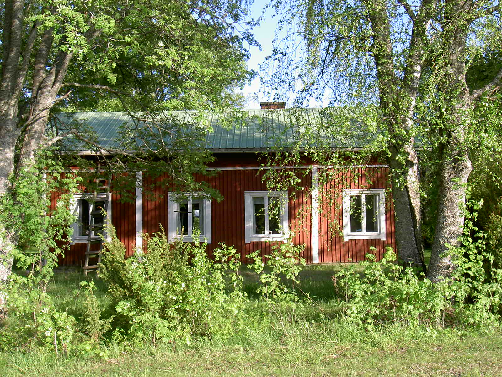 Huset som ligger ute på den öppna slätten med potatisodlingar runtom är skymd av stora och vackra björkar. Fotot taget från nordväst, som det ser ut från Sunnantillvägen. 