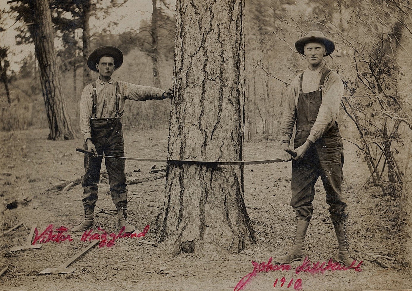 Johan vistades i unga år i Amerika och här ser vi hur han tillsammans med ”Pala” Viktor Hägglund år 1910 håller på att fälla ett träd. Han var då redan far till 2 barn och det ser ut som om hustrun Ida skulle ha stannat hemma i Dagsmark under tiden.