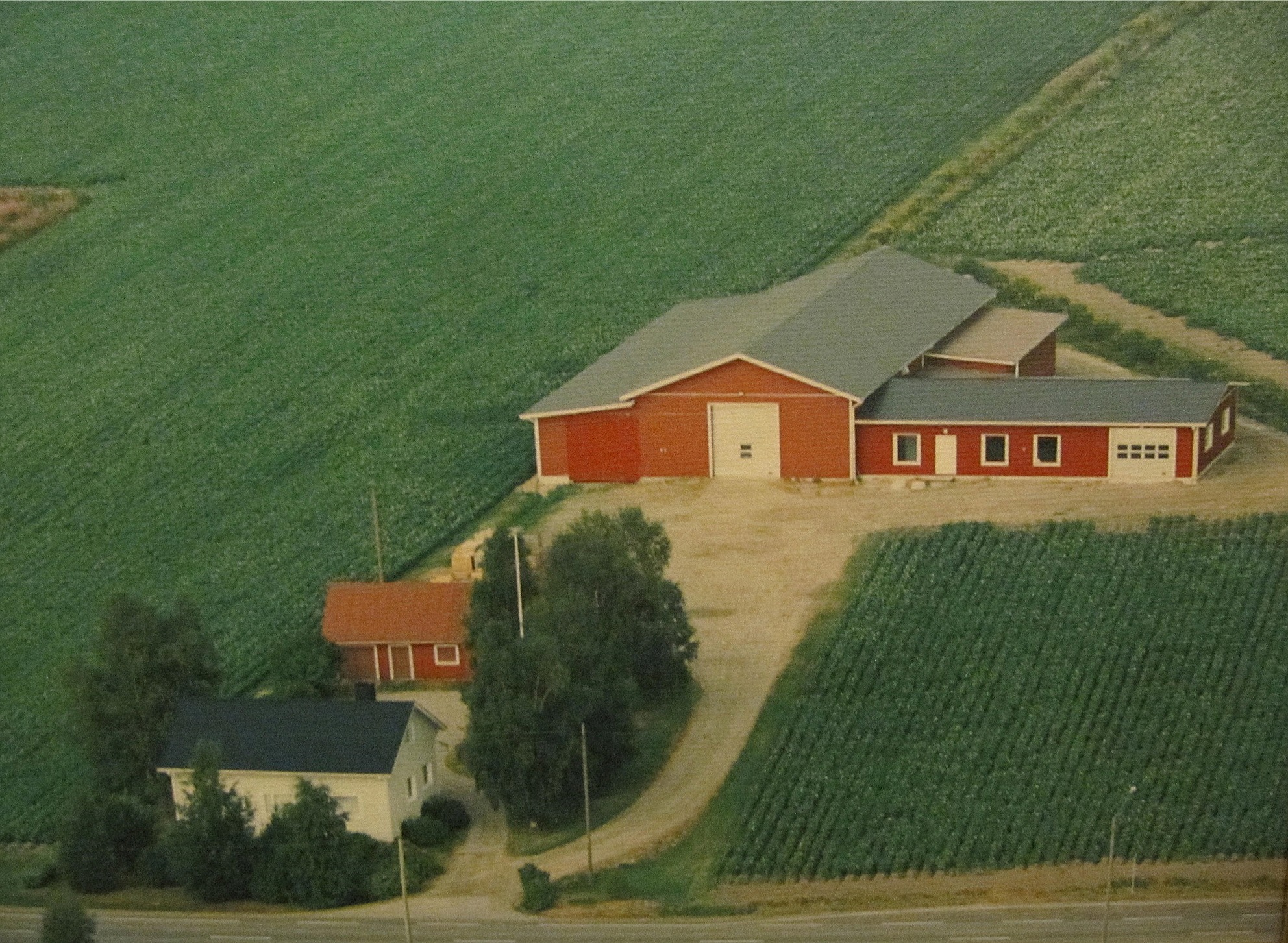 På flygfotot från 1994 så syns Veli Kangas gård nere till vänster. Den stora byggnaden i bakgrunden är Harry Kangas potatislager och verkstad.