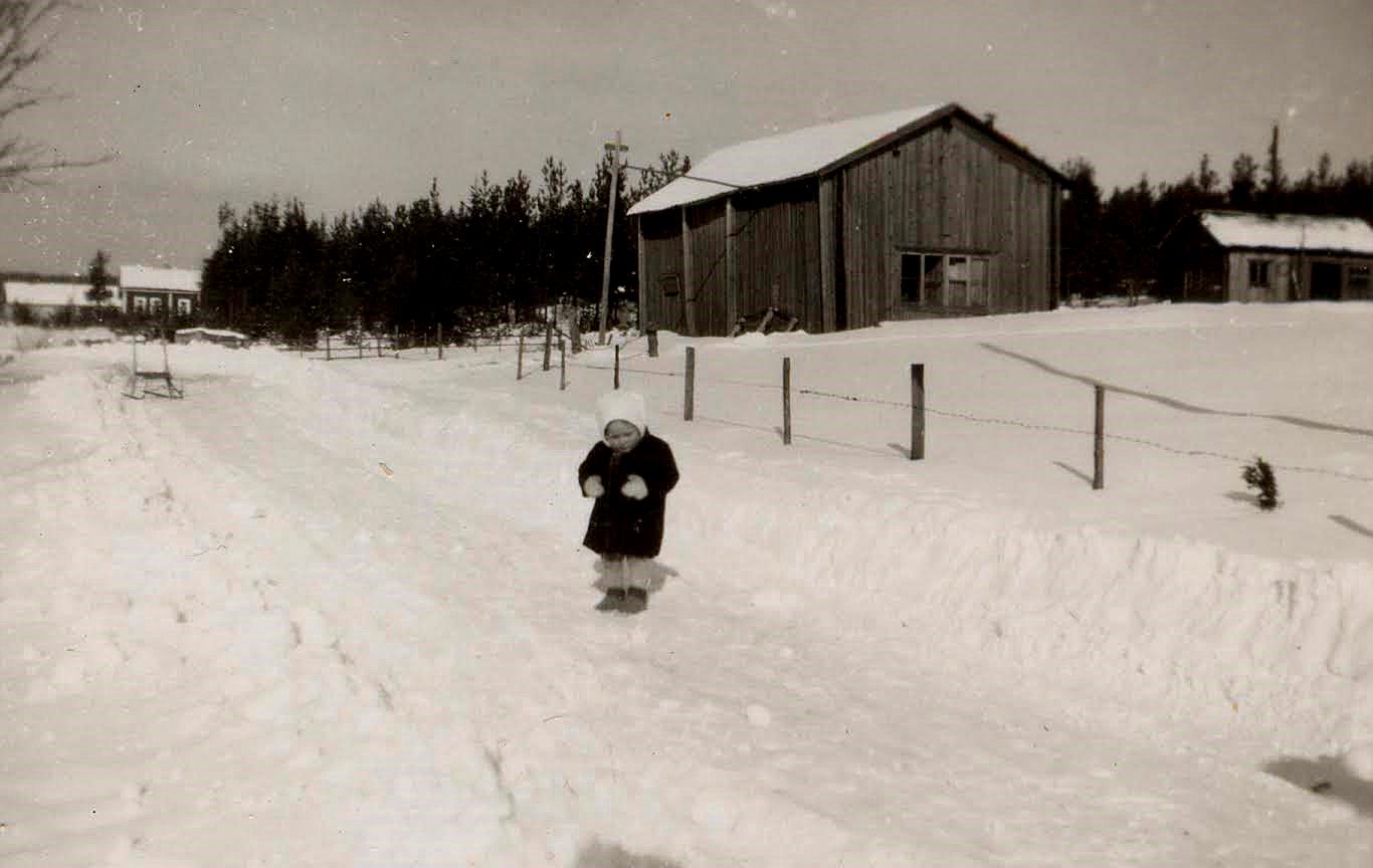 På fotot från 1941 står Viktors barnbarn Lilli Solfvin på Nyskiftanvägen. Den större byggnaden bakom Lilli var ett uthus med hönshus och längst till höger syns Solfvins smedja.