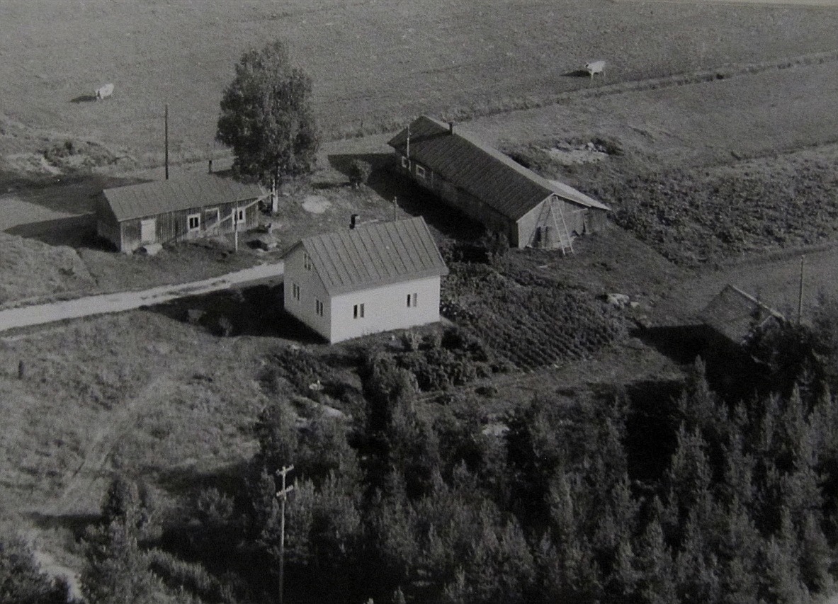 På flygfotot från 1960-talet så ser Lauris gård ganska ensam ut.