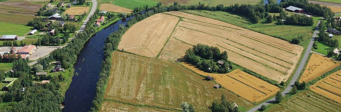 På flygbilden syns "Skomakas" alltså Rosenlundas eller Lammis gård som en grön oas mitt på åkrarna.