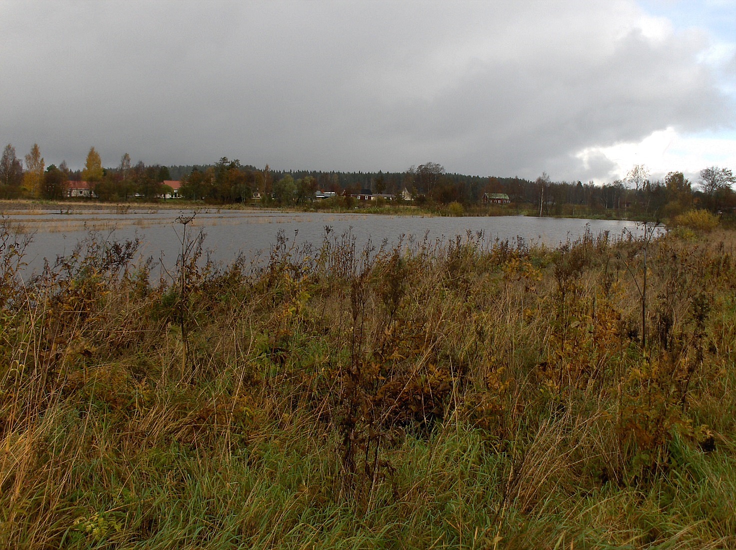 På grund av häftiga skyfall var åkrarna i Storsvedan översvämmade hösten 2012.