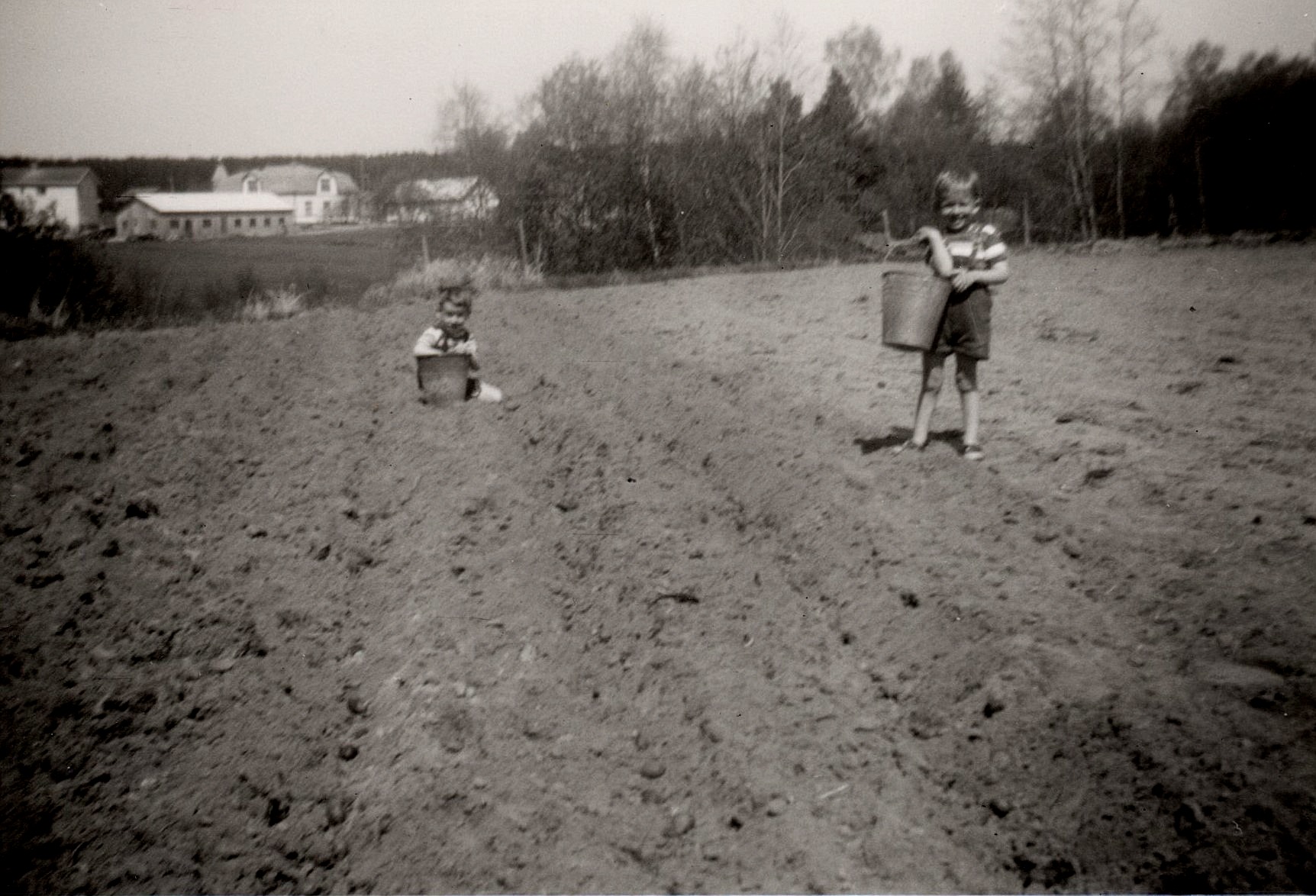 Kurt och John sätter potatis i slutet på 50-talet. I dag skulle detta kallas barnarbete och vara förbjudet.