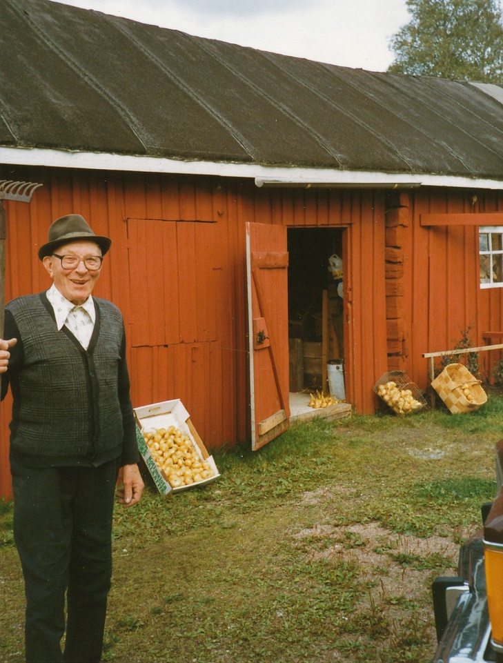 Arthur hemma i Dagsmark år 1983, då han visar upp de fina lökarna.