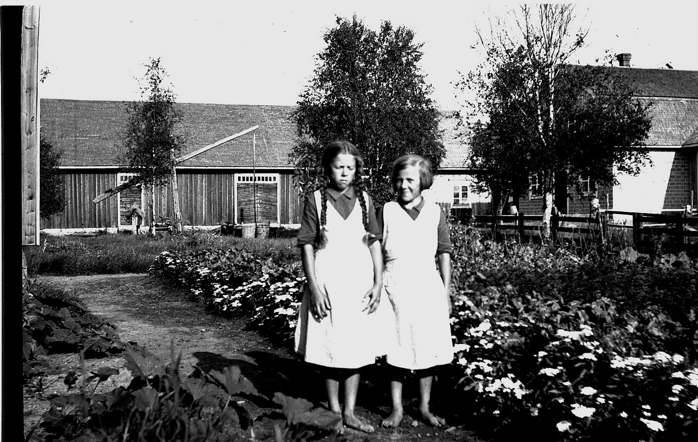 Här står barfotaflickorna Helga och Anna Englund och visar upp sitt. Selim Björses var lärare i Lappfjärd som ivrade för trädgårdsodling. Han var också fotograf som hann föreviga många personer och händelser mellan åren 1910-1950 i Lappfjärd men också i Dagsmark. 