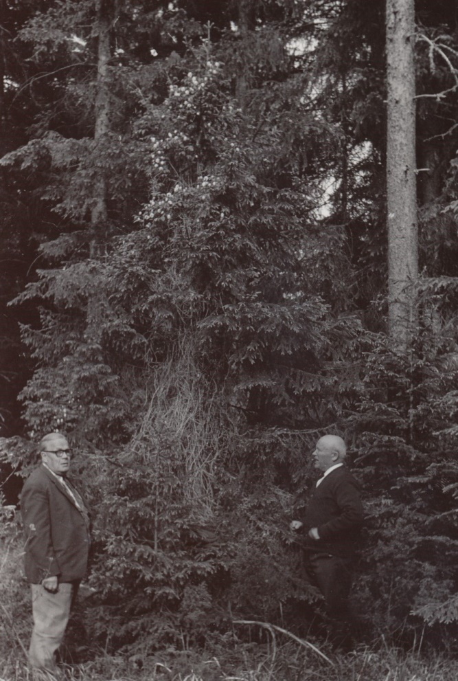 Här står Gunnar till höger och förevisar sipprankan i närheten av Bötombergen.