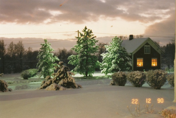 Nyholms gård fotograferad 1990.