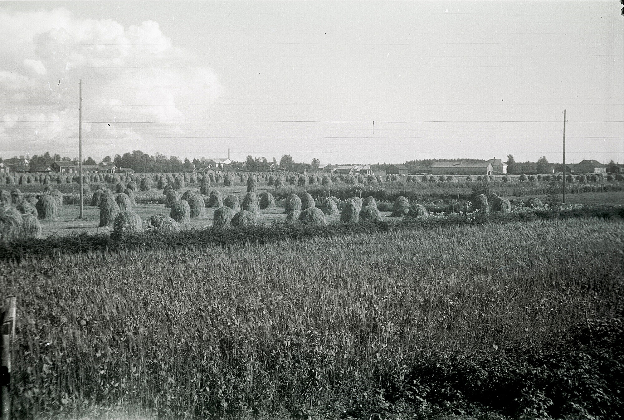 Fotot taget i skördetider år 1929 från Björses gårdarna upp mot Knusbackan. Till vänster Mitts Amandas gård, sedan Selim och Elsa Guldbergs och sedan Hulda Bergkulla. Mejeriskorstenen syns i bakgrunden.