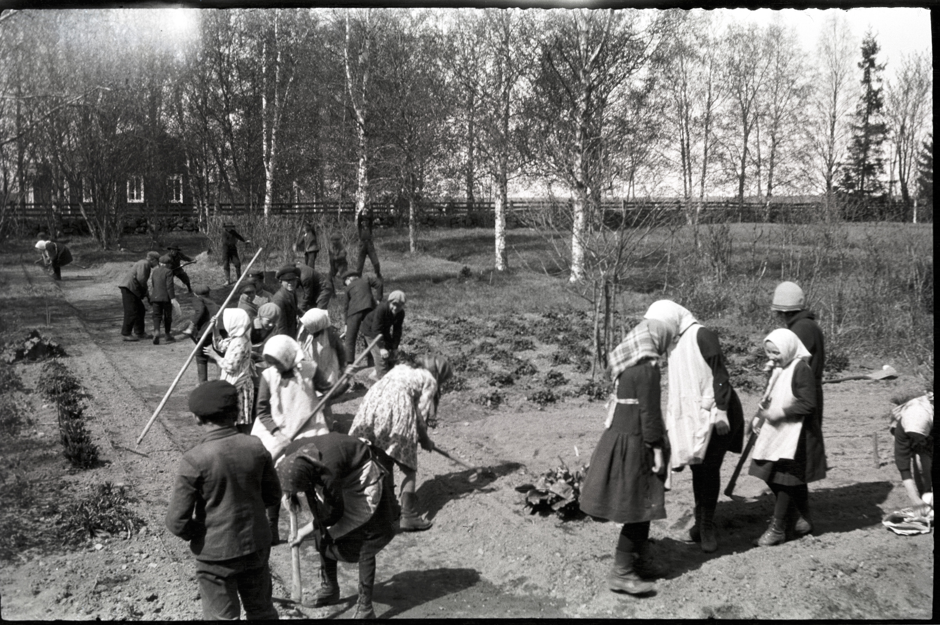 Läraren Selim Björses var klubbledare och därför undervisades det både i praktik och i teori i skolan. Denna trädgård låg bredvid södra folkskolan. Andra från höger är Anni Vesterlund, de övriga är okända.