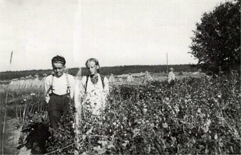 Syskonen Elgot och Karin Nygård i Korsbäck ute i trädgården, med fina rågskylar i bakgrunden.