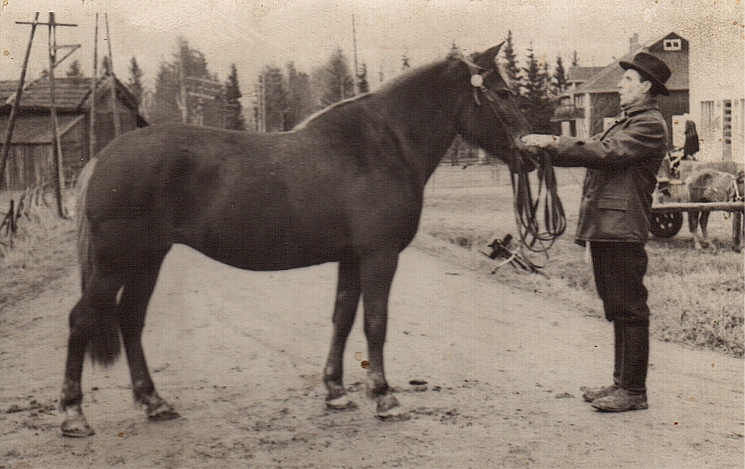 Josef Granlund visar upp sin häst i Bötom, där ungdomslokalen syns i bakgrunden.