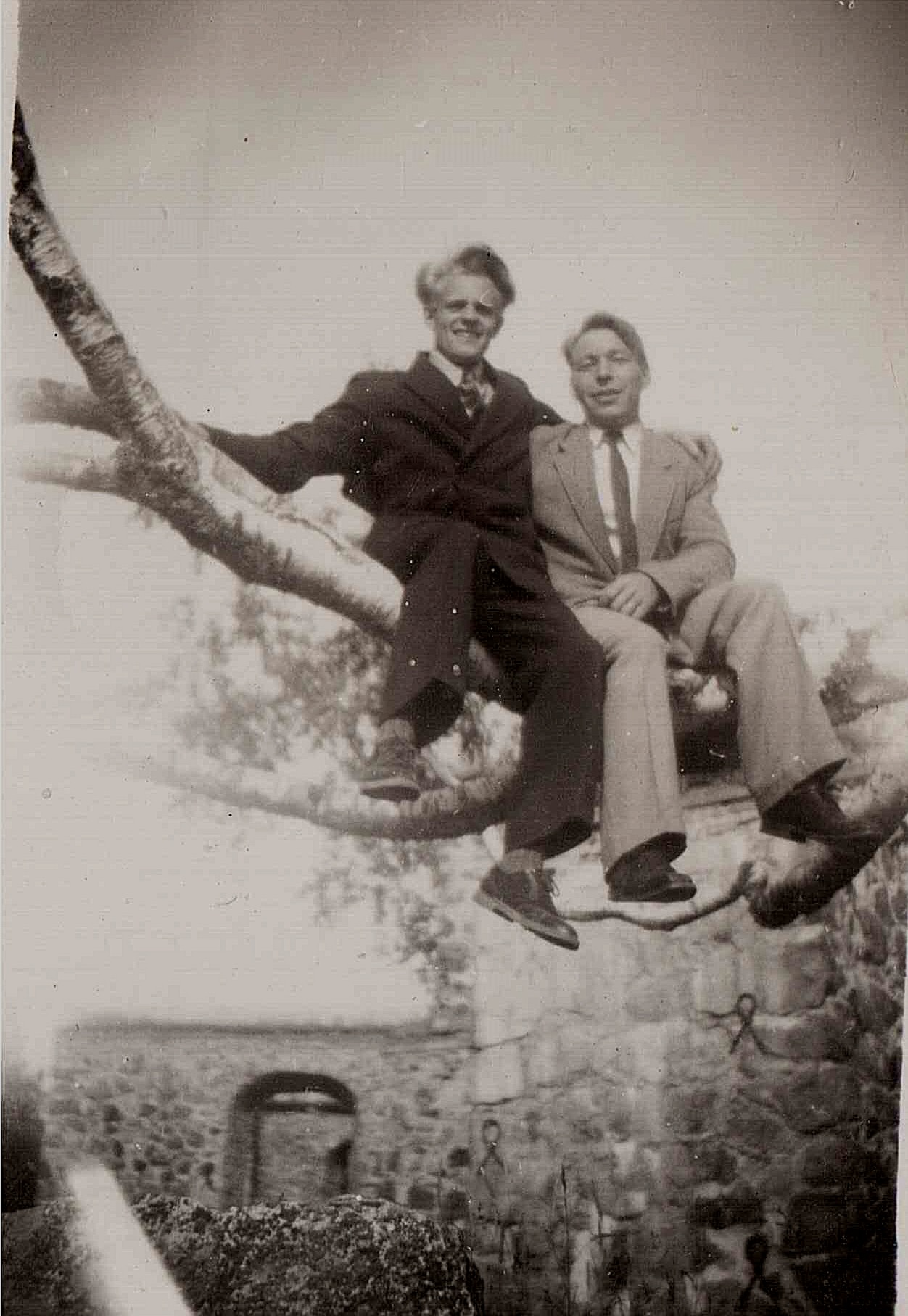 Nils Granlund och Allan Wester uppe i ett träd i Gamla Vasa.
