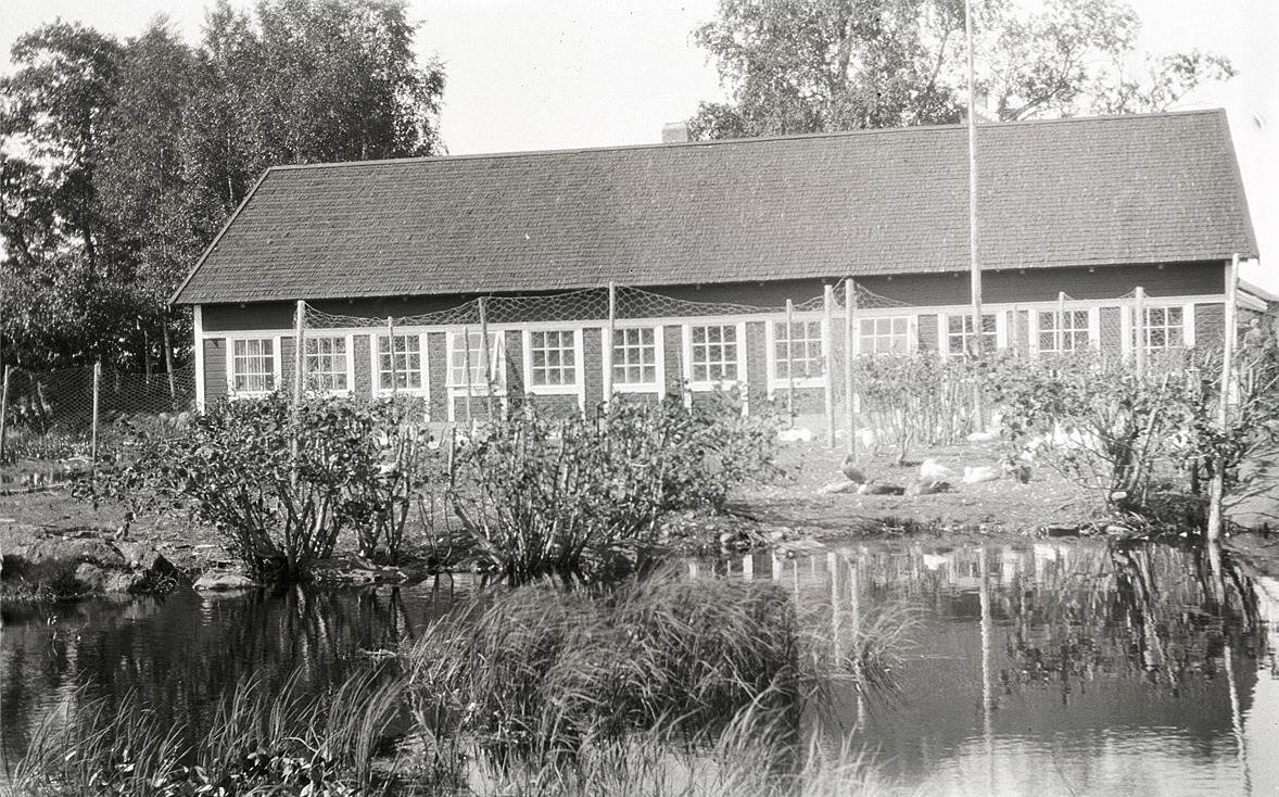 Ett större hönshus i Lappfjärd år 1933.