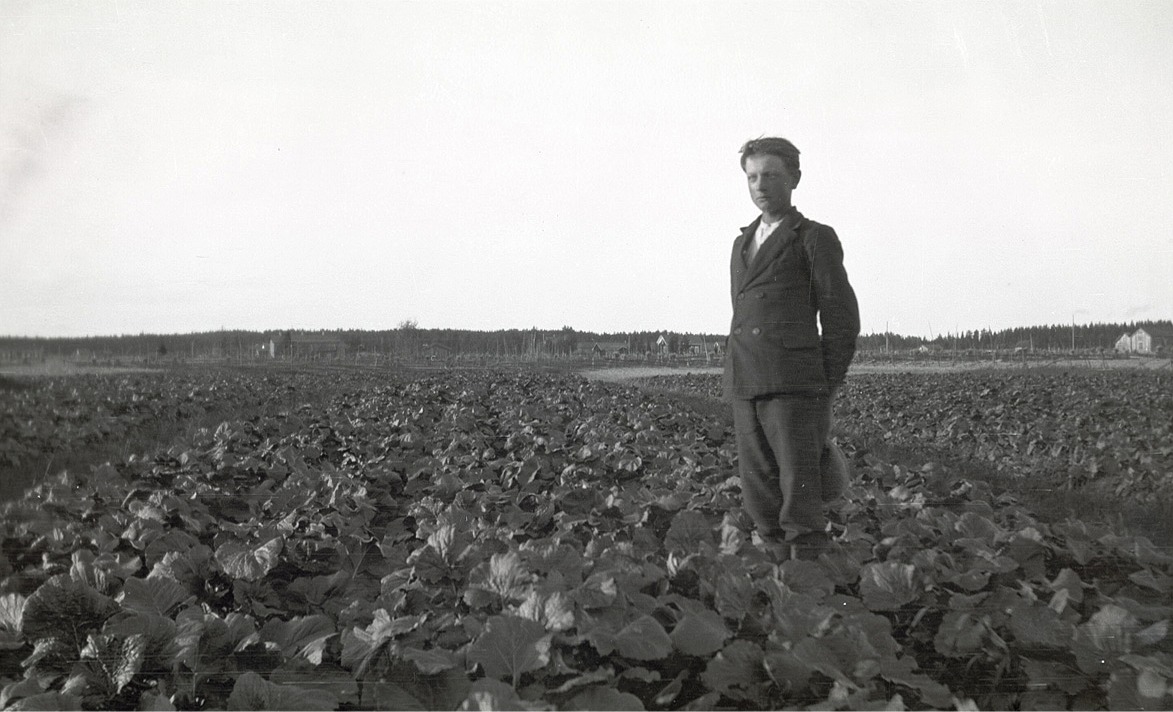Elis Mannfolk i sitt turnipsland. I bakgrunden skymtar "Smegålan".