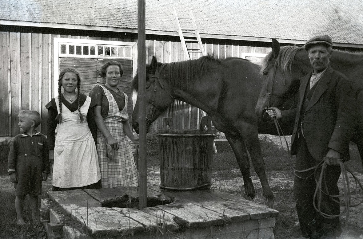 Paul tittar åt sidan medan hans systrar Helga och Inga vattnar de två hästarna tillsammans med pappa Erik Anders Englund i Palon i Dagsmark.