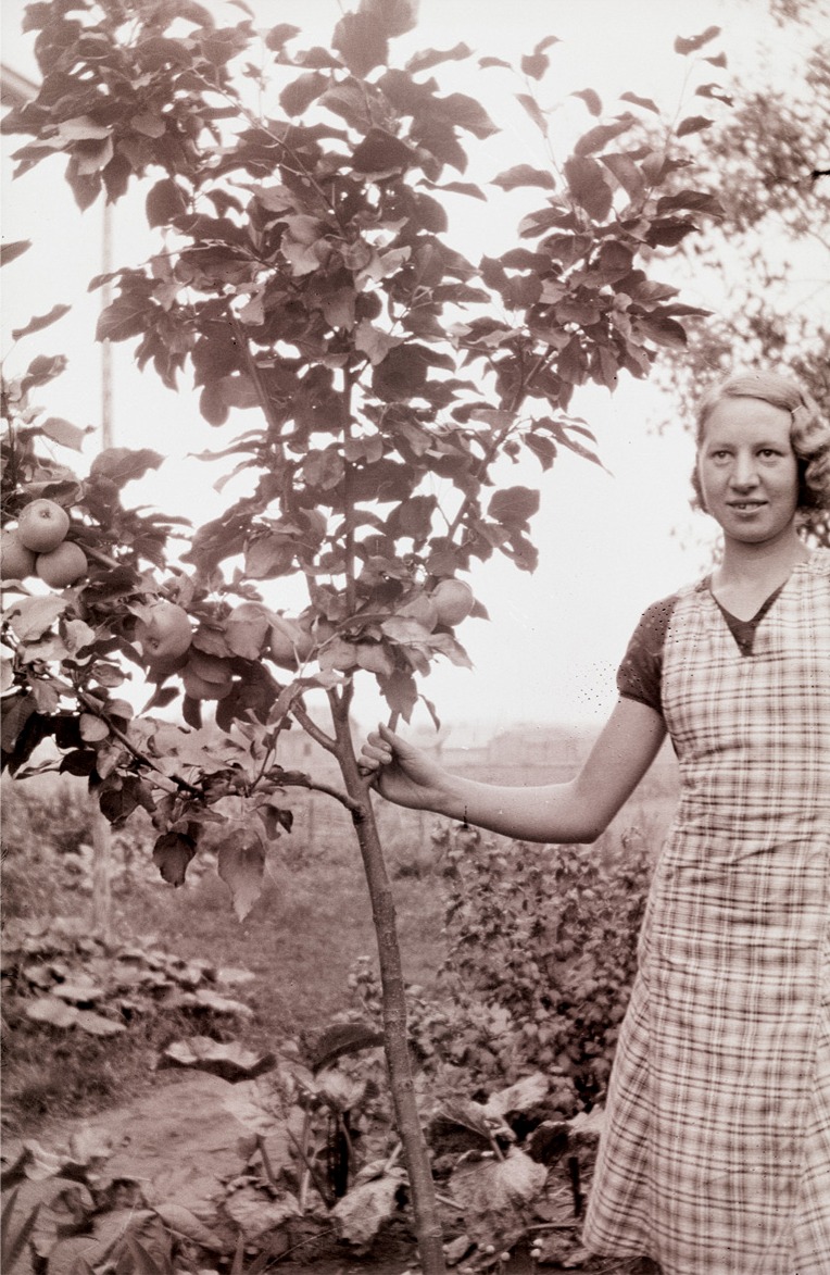 Elin Björkman visar upp ett äppelträd med riklig frukt.