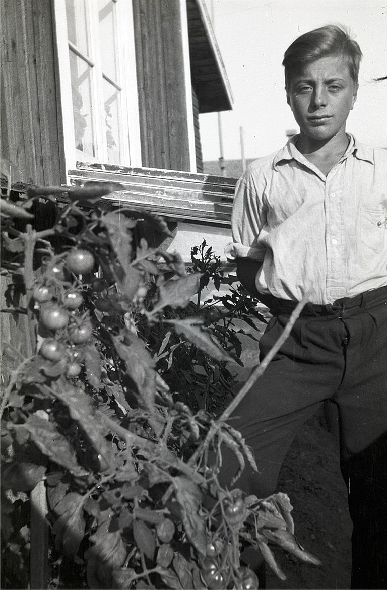 En stolt Ture Nygård visar här upp de ovanliga tomaterna.