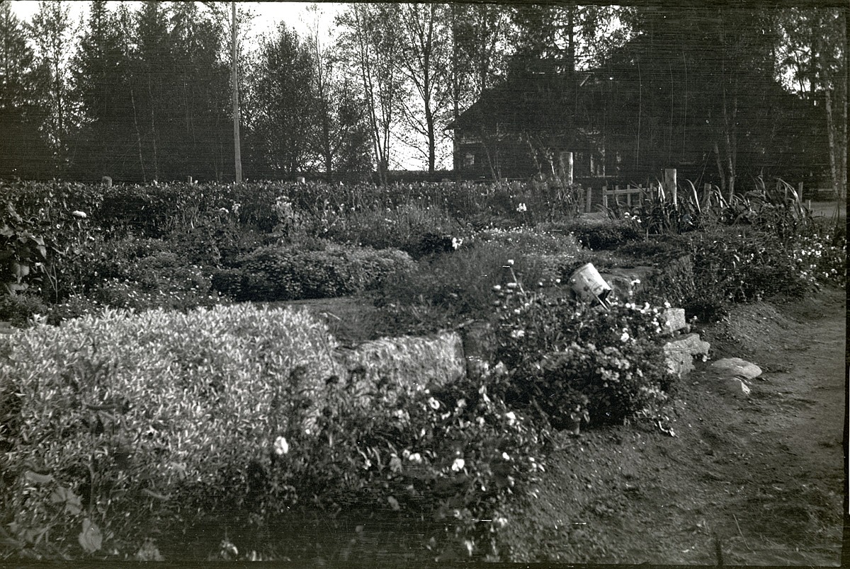 Mitt emot folkskolan i Dagsmark låg Lillsjö-bagarinas där blomsterprakten riktigt lyser. Här stod tidigare ett bageri och karamellfabrik men det brann ned 1931 och följande år dog Lillsjö-bagarin själv i en olycka i Lappfjärd. Men fortfarande är trädgården runt området välskött och blommorna pryder området som ligger centralt i Dagsmark. Bakom träden i bakgrunden syns Klemets Erik Anders gård.