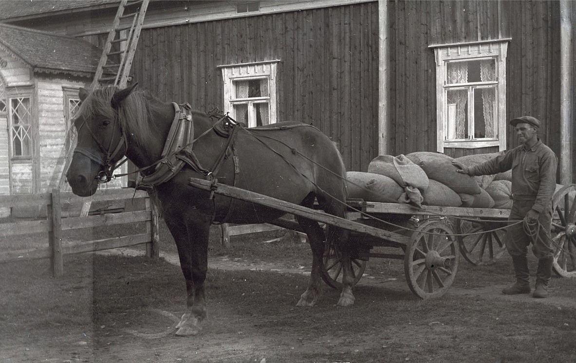 Selim Björknäs med häst och kärra utanför hemgården.