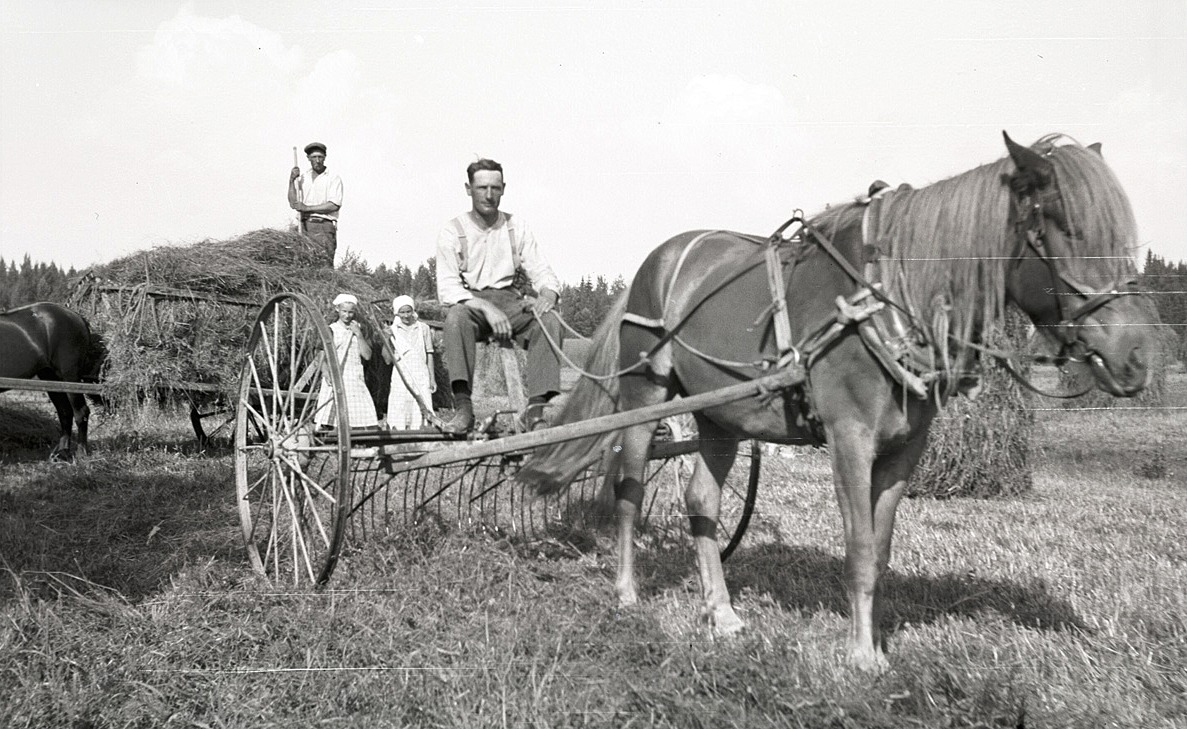 Artur Björses på hästräfsan.