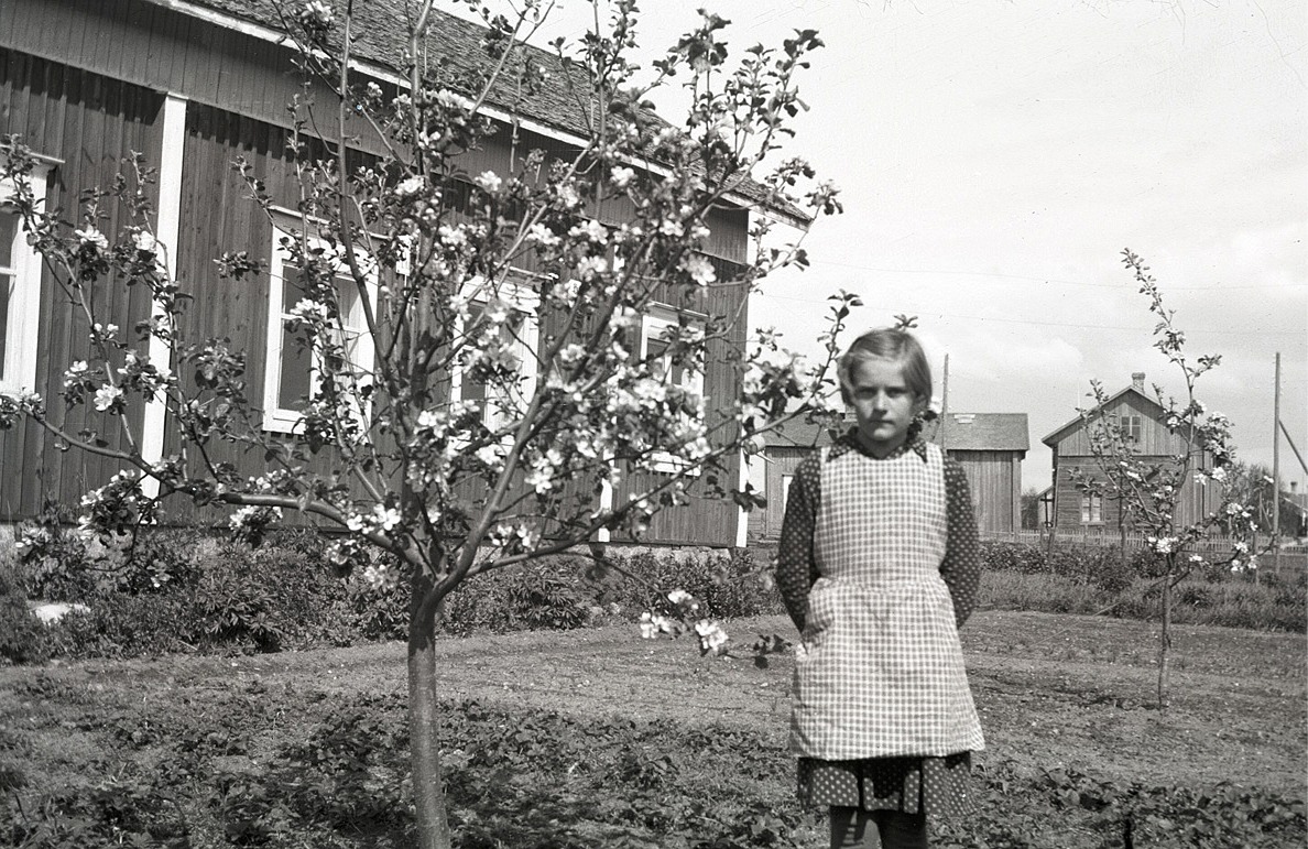 Okänd flicka står bredvid det blommande äppelträdet.