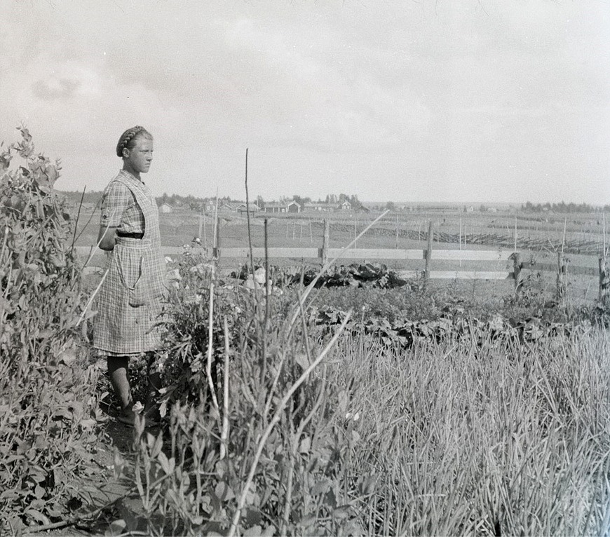 Emil Stenholms dotter Greta (f.1924) blickar ut över sitt klubbland. "Sme gårdarna" på Kullan syns i bakgrunden.