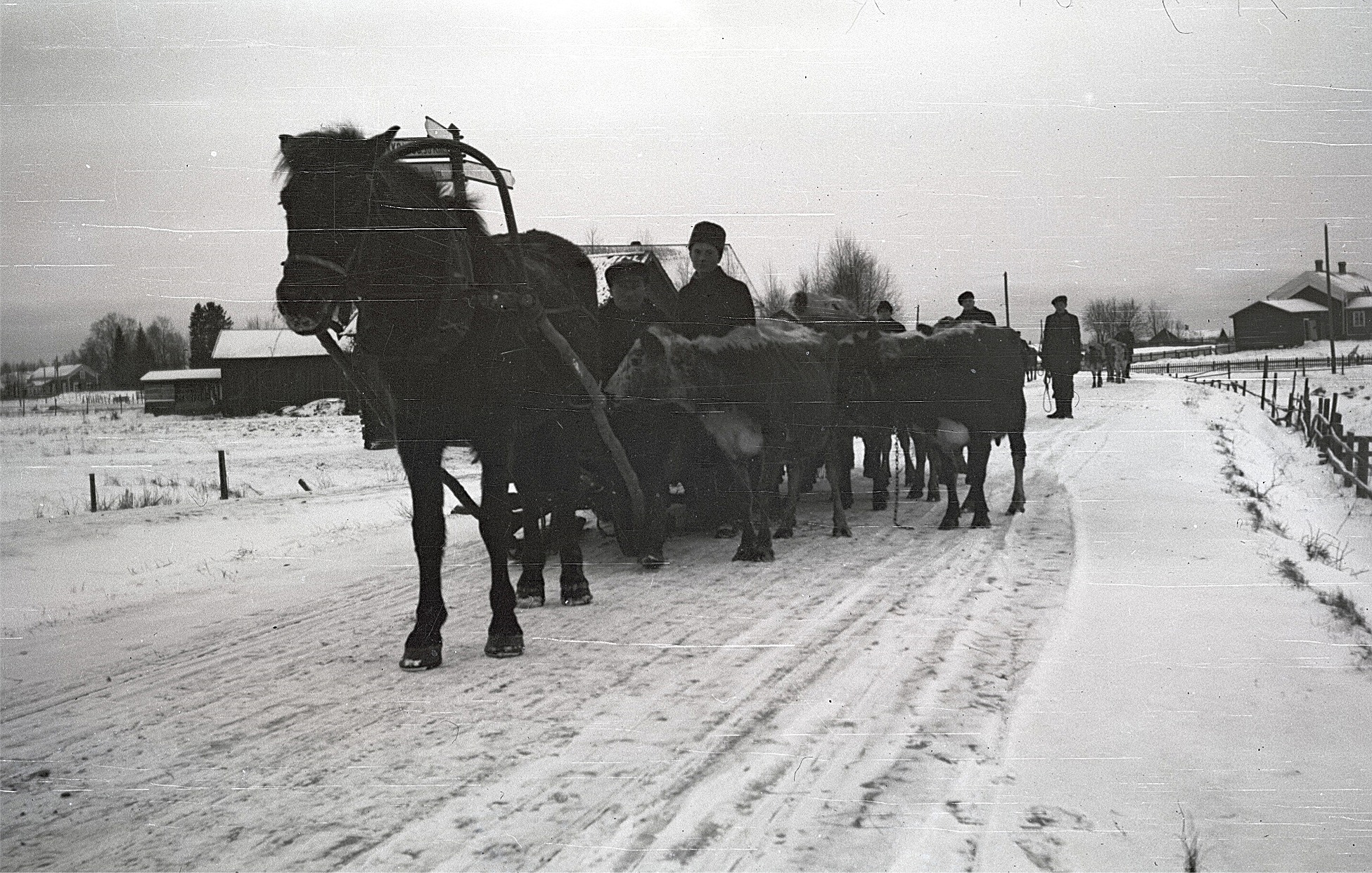 Under så gott som hela 1930-talet hade vintrarna varit så gott som snöfria och mycket milda men i december 1939 slog kölden till ordentligt med temperaturen ner mot -40 grader. I 25 graders kyla anlände dessa karelare till Lappfjärd, kommunalgården syns till höger.