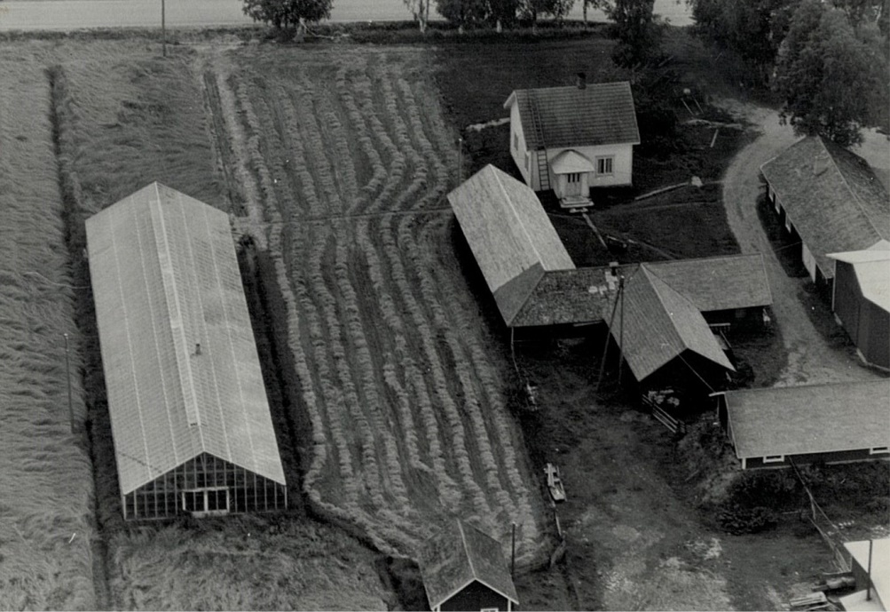 På 1970-talet byggde Gunnar Norrgård ett växthus bredvid lillstugan men detta revs sedan någon gång på 80-talet.