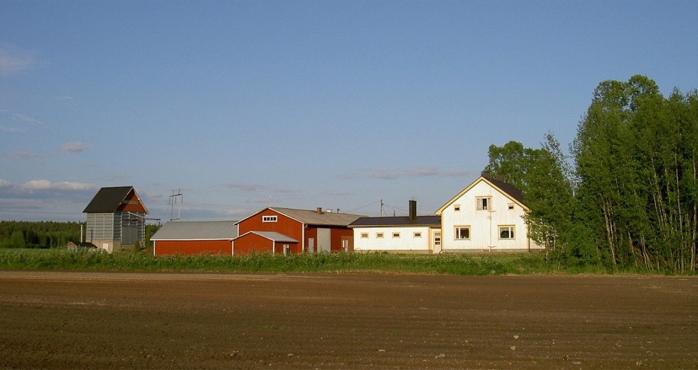 Så här såg det ut där Jöranas eller hos Norrgård sommaren 2003, fotograferat från väster.