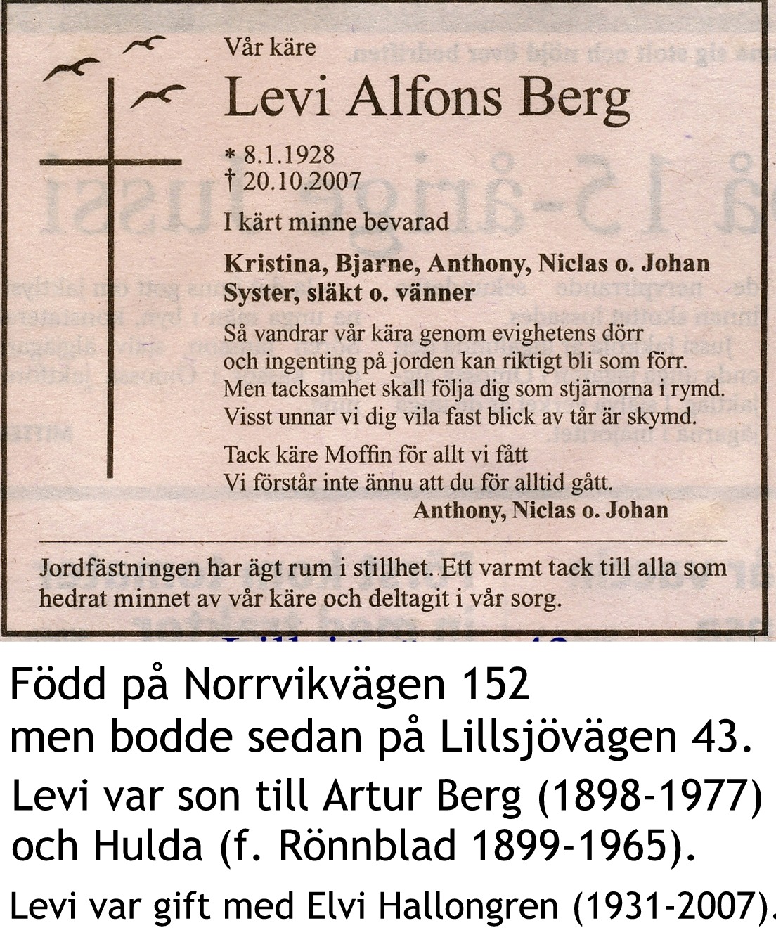 Berg Levi