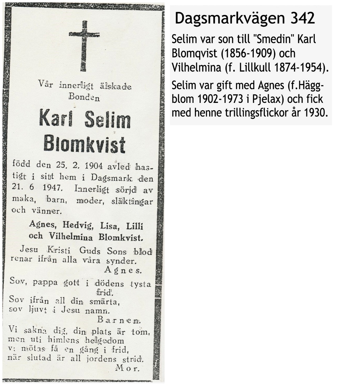 Blomkvist Selim