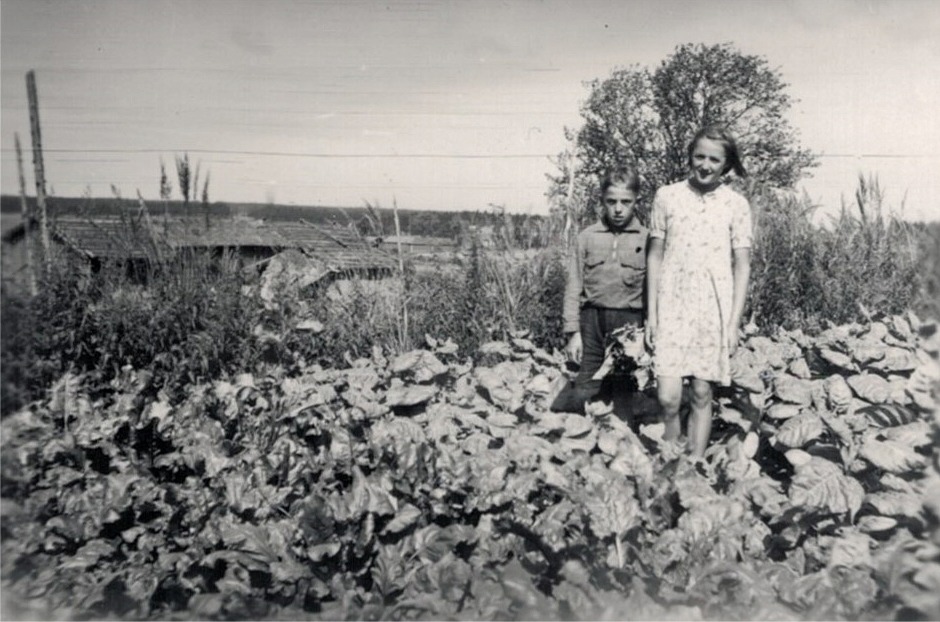 Här på Skräddarbacken i Korsbäck står syskonen Johan och Karin Lindqvist i trädgårdslandet.