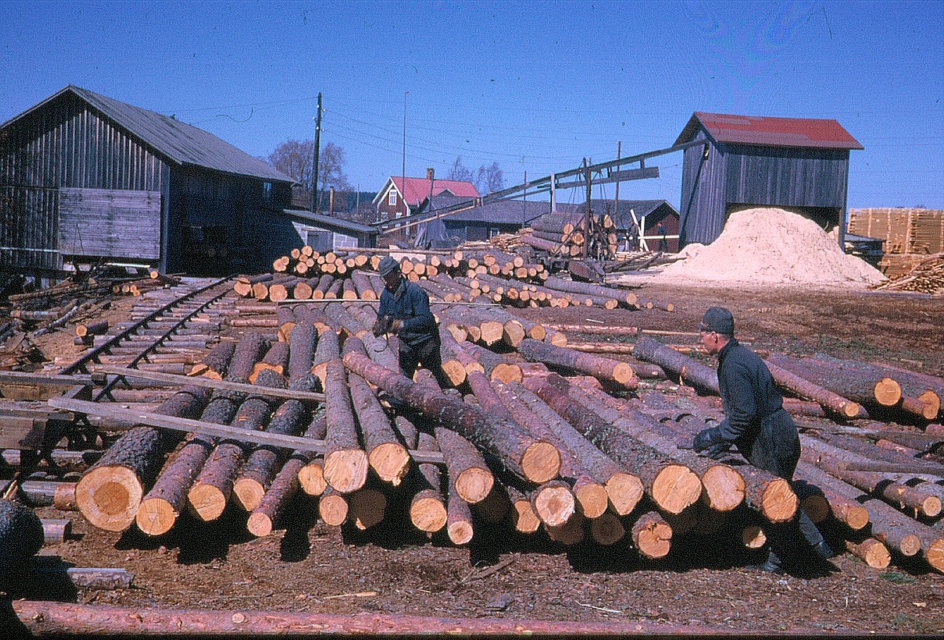 På bilden två arbetare på sågbacken.
