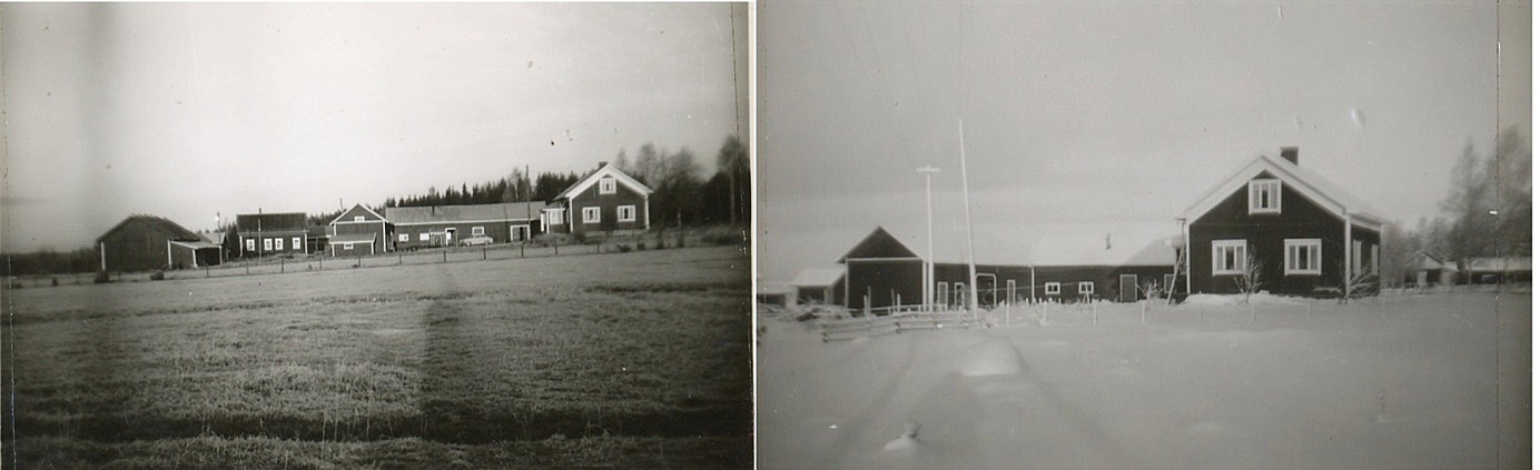 På Arvid Berglunds foton syns Lindblads nya gård med alla uthusbyggnader. 