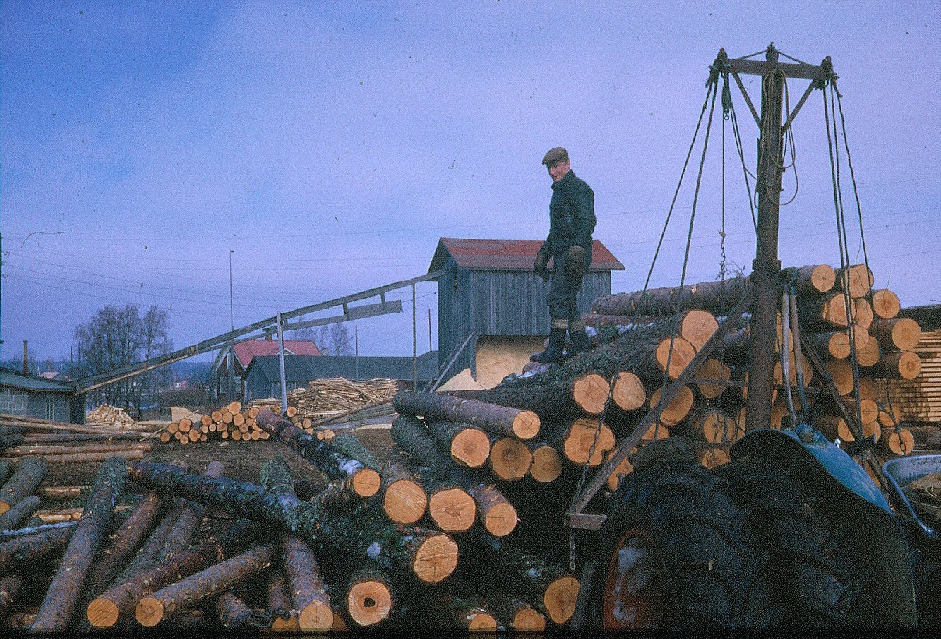 Pauli Mannila lastar av stockar på sågbacken.