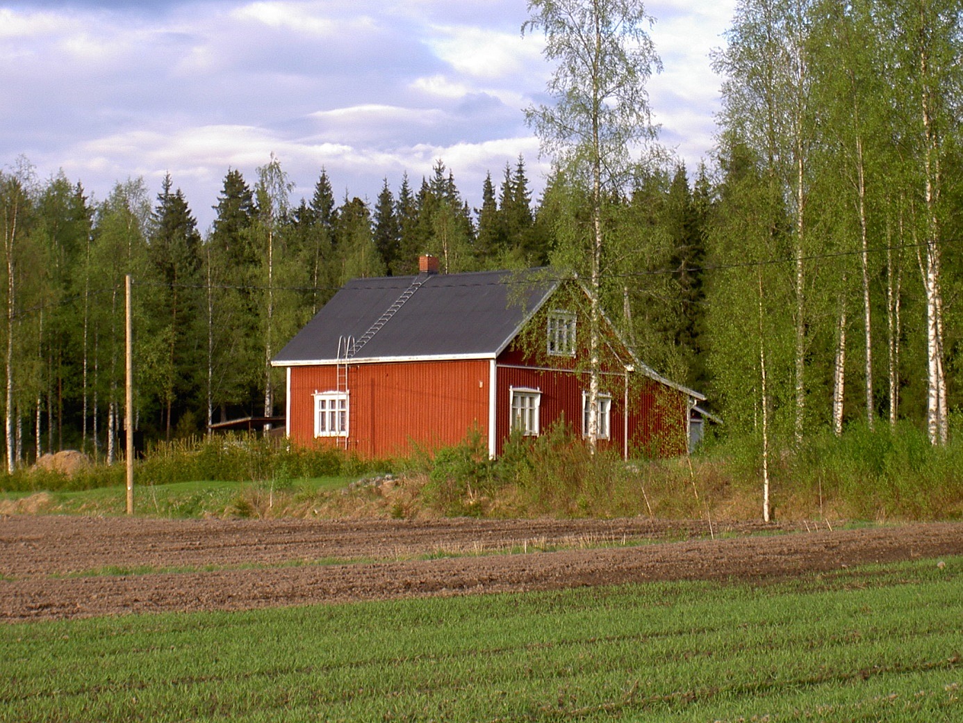 Dahlroos fotograferad från väster år 2003.